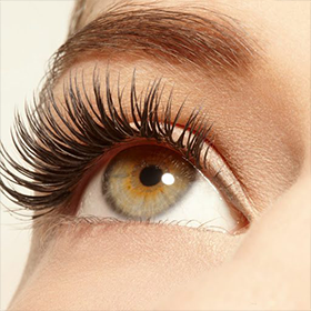 Progressively revolutionize scalable partnerships whereas goal-oriented imperatives.